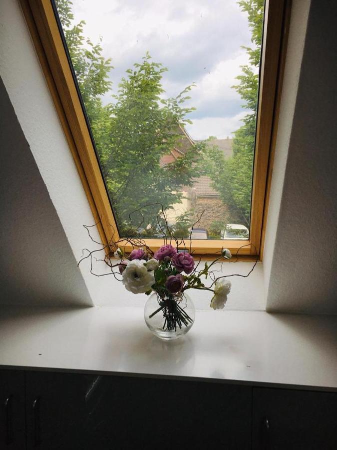 Rheingau - Schoene Moeblierte Ferienwohnung エルトフィレ エクステリア 写真